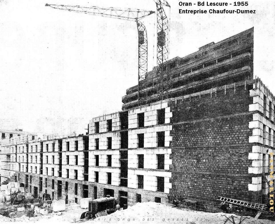 Oran - Cite Lescure - En Construction - 1955.jpg